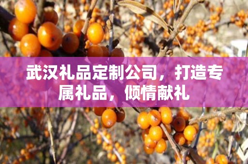 武汉礼品定制公司，打造专属礼品，倾情献礼